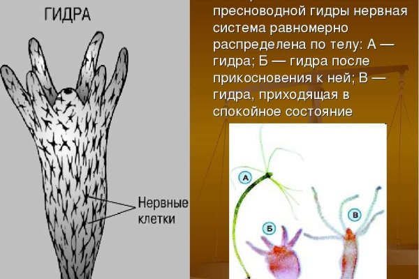 Tor mega darknet